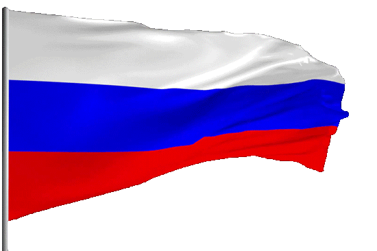 Государственный флаг